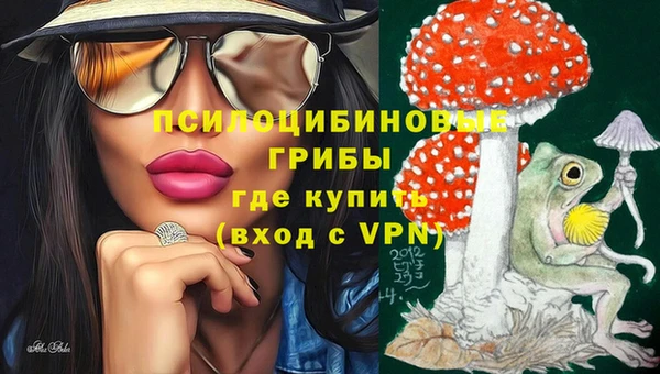 бошки Белокуриха