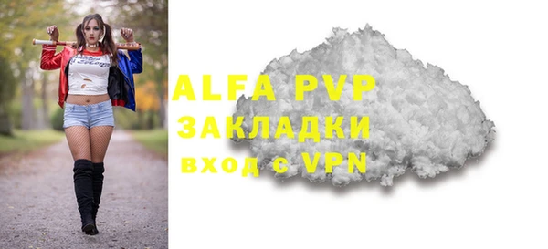 бошки Белокуриха