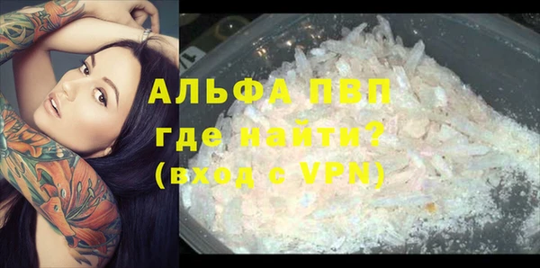 сатива Богородск