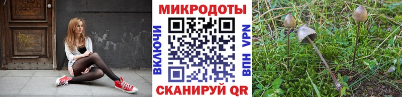 Псилоцибиновые грибы Psilocybine cubensis  где купить наркоту  Неман 